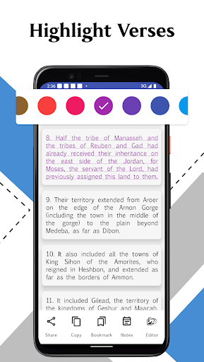Screenshot NEB Bible