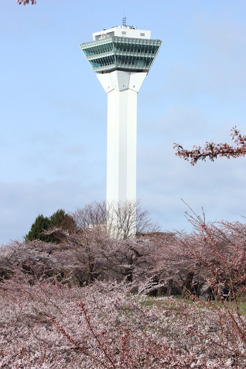 の投稿画像5枚目