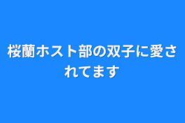 桜蘭ホスト部の双子に愛されてます