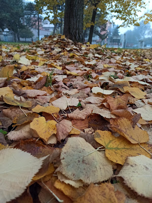 Come foglie sull'albero in autunno di klarinetto