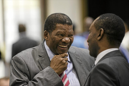 Land Reform Minister Gugile Nkwinti, left, and workers on the Bekendvlei Farm that was bought for R97-million.