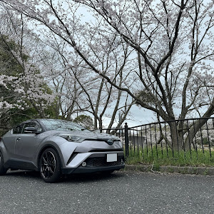 C-HR ZYX10