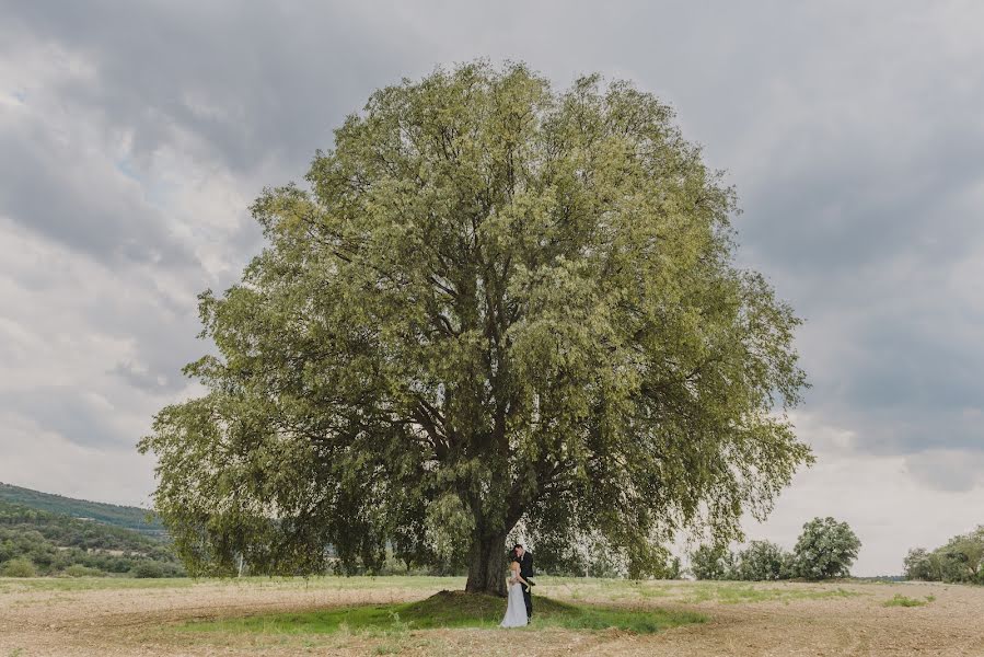 Fotógrafo de bodas Anna Isan (anis-studio). Foto del 4 de abril 2016