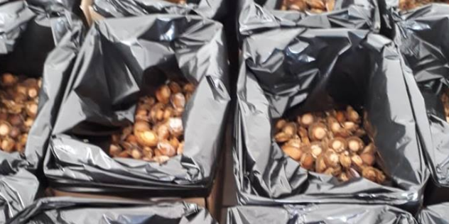 Bags of abalone, along with drying equipment, were found at the house.