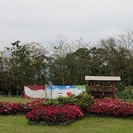 大溪花海農場