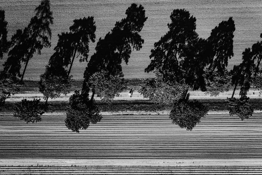 Vestuvių fotografas József Márk Losonczi (losonczi). Nuotrauka 2023 gruodžio 30