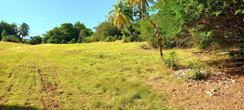 terrain à Sainte Anne (971)