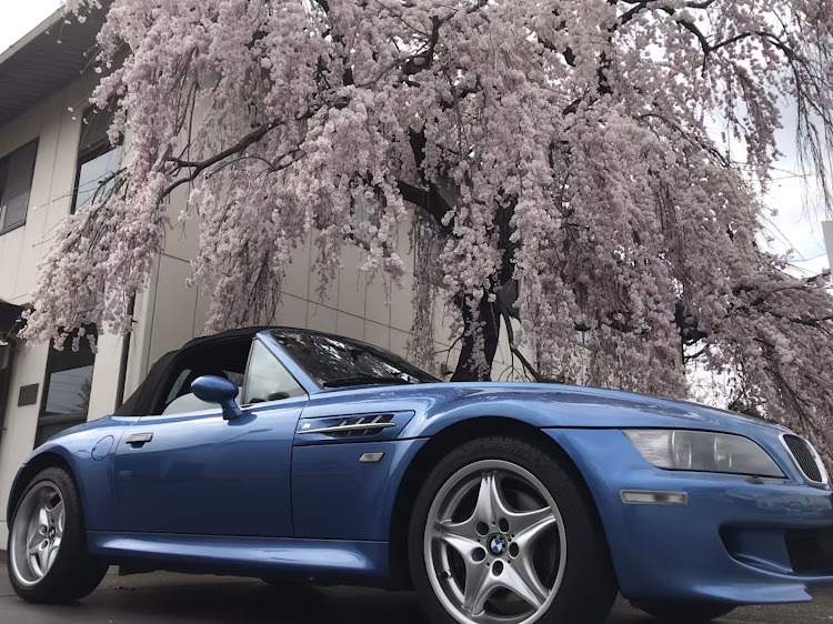 Z3 Mロードスターのさくら・上田市・bmwに関するカスタム事例の投稿画像3枚目