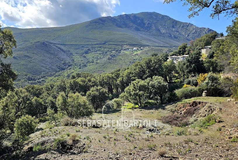  Vente Terrain à bâtir - 2 000m² à Biguglia (20620) 