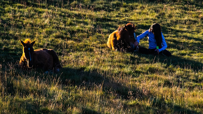 Puledri e coccole ... di effeenne