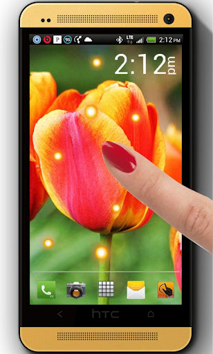 免費下載個人化APP|Yellow Orange Tulips LWP app開箱文|APP開箱王