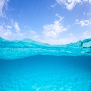 Half Underwater Wallpaper Theme Chrome extension download