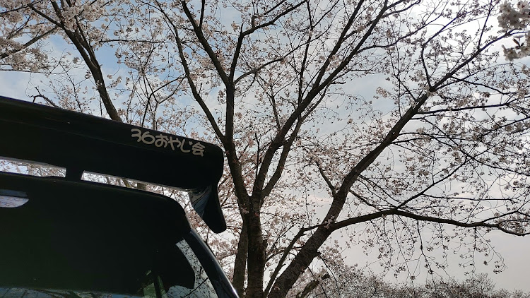 アルトワークスのサクラと愛車に関するカスタム事例の投稿画像5枚目
