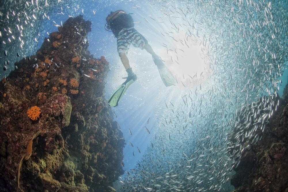 Sea of Tranquillity di Andrea Izzotti