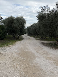 terrain à Châteauneuf-de-Gadagne (84)