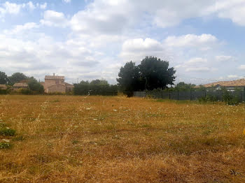 maison neuve à Toulouse (31)