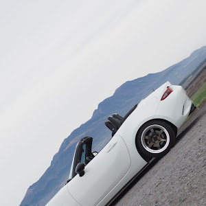 ロードスター ND5RC