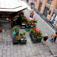 il fioraio di piazza Banchi (Genova) di 