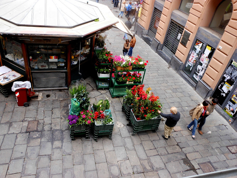 il fioraio di piazza Banchi (Genova) di provenza