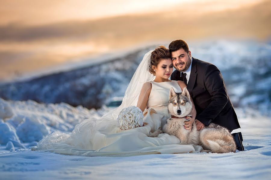 Fotografo di matrimoni Dmitriy Coy (dtsoyphoto). Foto del 10 gennaio 2016