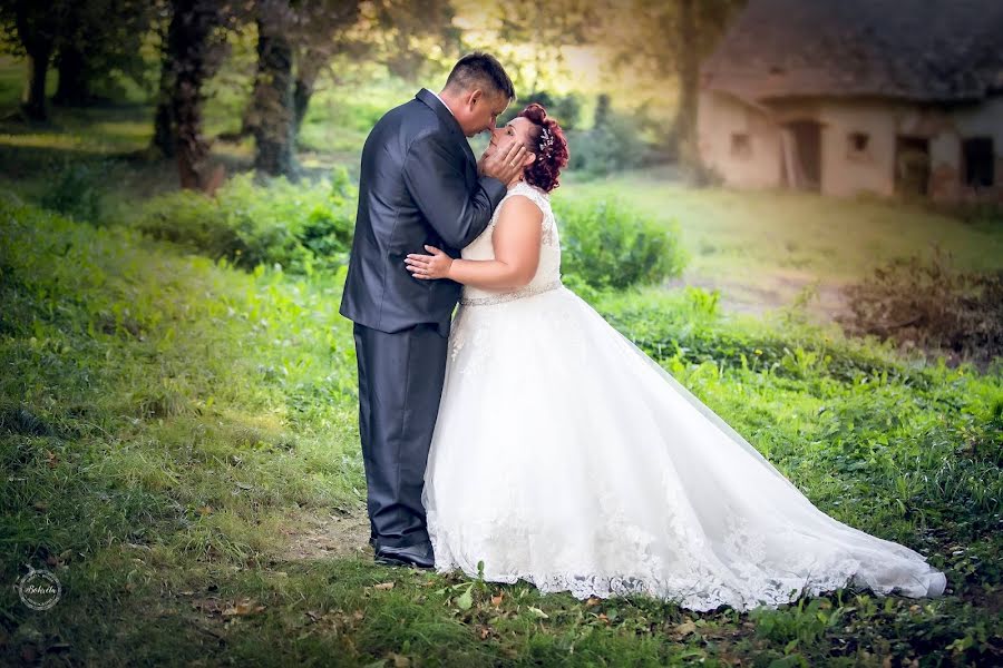 Wedding photographer Kriszta Boller (bokreta). Photo of 23 February 2019