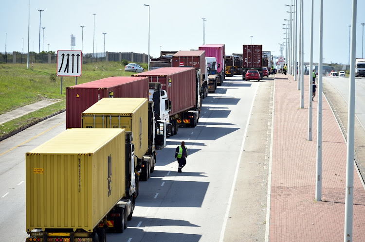 Trucks are shown in Neptune Road in the Coega Special Economic Zone in Gqeberha in the Eastern Cape. Picture: EUGENE COETZEE