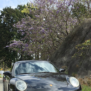 911 クーペ カレラS