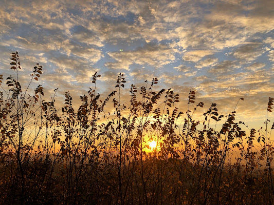 Tramonto in campagna. di Marycrick86