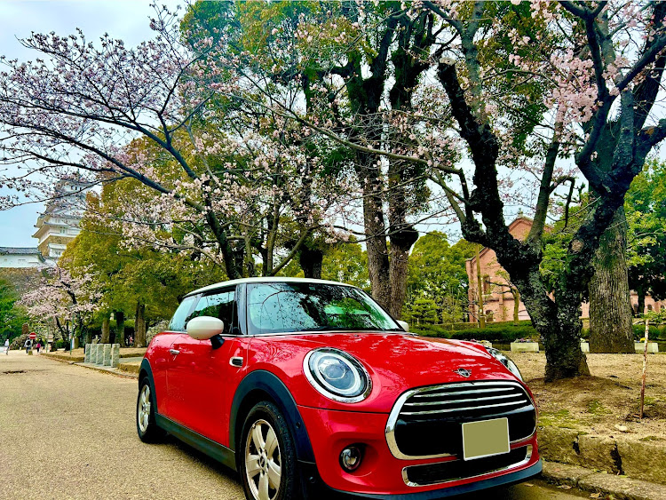 ミニクーパーのミニクーパー・MINI・桜とコラボ・サクラと愛車・桜に関するカスタム事例の投稿画像1枚目