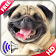 Animal Sounds for Kids icon