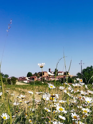 Passeggiata vicino a casa di Vera