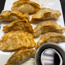 16. deep fried chicken dumplings (8 pc)