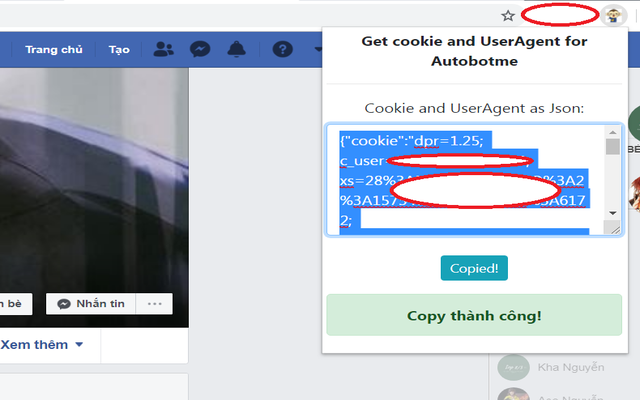 Get Cookie For Facebook