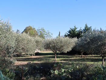 propriété à Beaucaire (30)