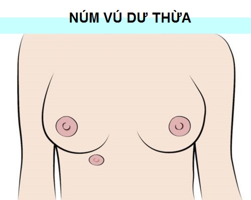 vicare.vn-nhu-hoa-cua-ban-thuoc-loai-nao-body-7