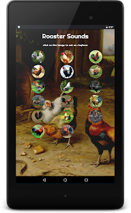 Rooster Alarm and Ringtone Sounds(圖6)-速報App