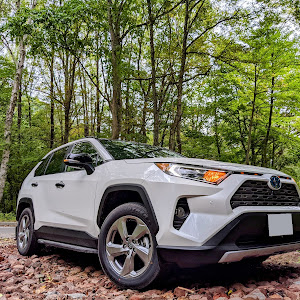 RAV4 AXAH54