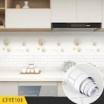 CFYT101