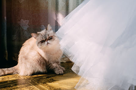 結婚式の写真家Anna Vaskina (vaskina)。2019 11月2日の写真