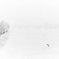 Volo via dall'inverno. di 