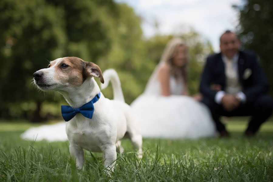 Fotografo di matrimoni Lucia Horvath (horvathlucia). Foto del 8 aprile 2019