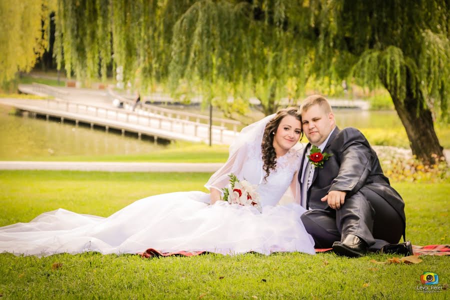 Photographe de mariage Péter Lévai (lpfotovideo). Photo du 24 février 2019