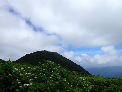 東の展望