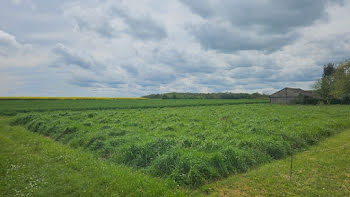 terrain à Thivars (28)