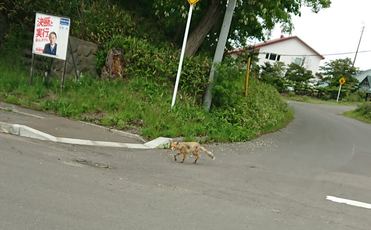 の投稿画像6枚目