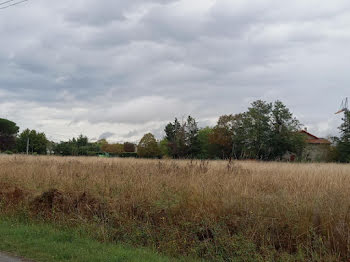 terrain à Saint-Sulpice (81)