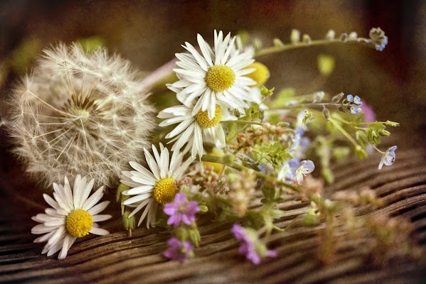 Bouquet di Primavera di NicaZizzi