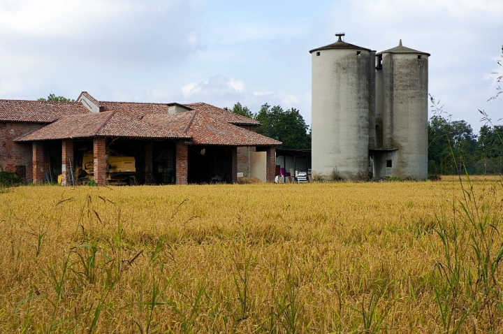 Cascina Margherita di Paolo Zanoni