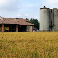 Cascina Margherita di 