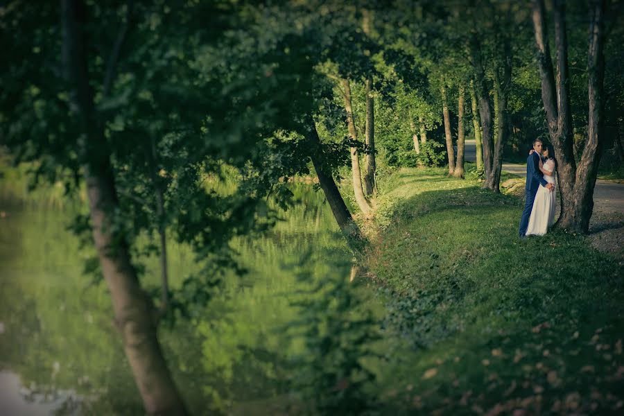 Bryllupsfotograf Marcin Wludarczyk (wludarczyk). Bilde av 28 september 2016